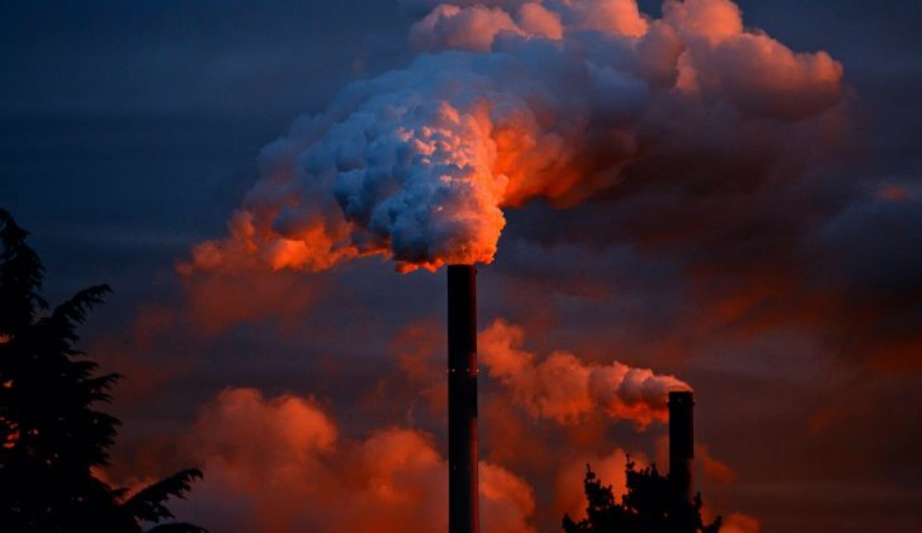 Inquinamento, rapporto Ue: “Esiste un chiaro legame tra lo stato dell’ambiente e la salute della nostra popolazione”