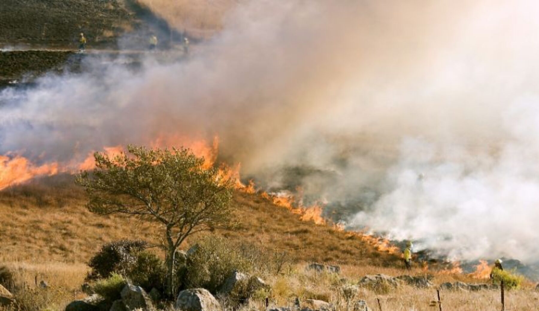 Incendi in Sicilia, arrestati tre piromani nel palermitano