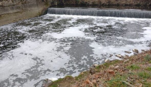 Schiuma nel fiume Olona, una precisazione