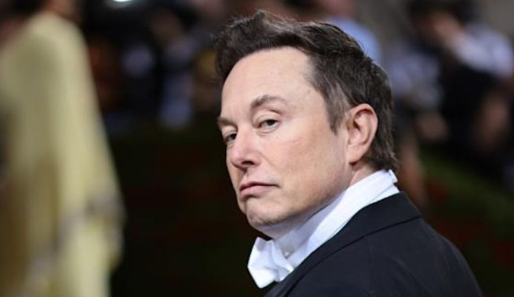 Twitter fa causa a Elon Musk e lui replica sarcastico: è scontro