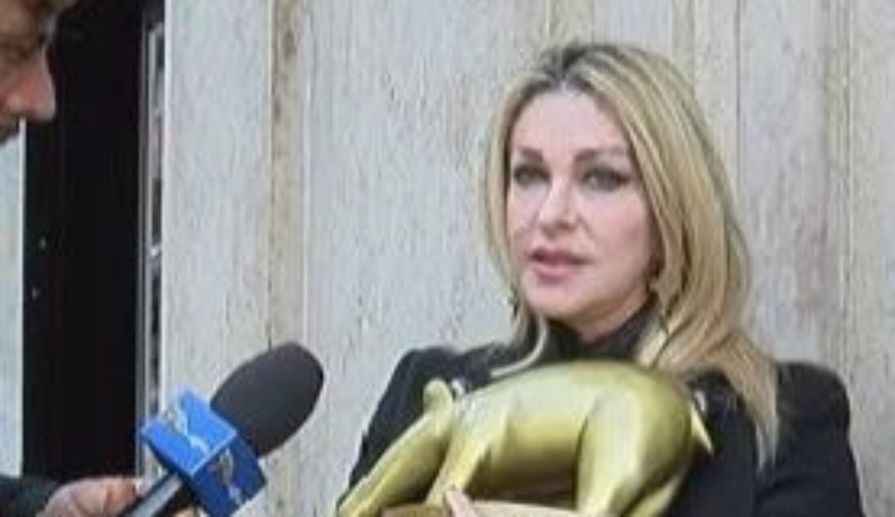 A Striscia la notizia Tapiro d’oro a Paola Ferrari
per non essere stata menzionata fra le giornaliste sportive