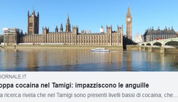 Rassegna Stramba, le notizie più assurde della settimana