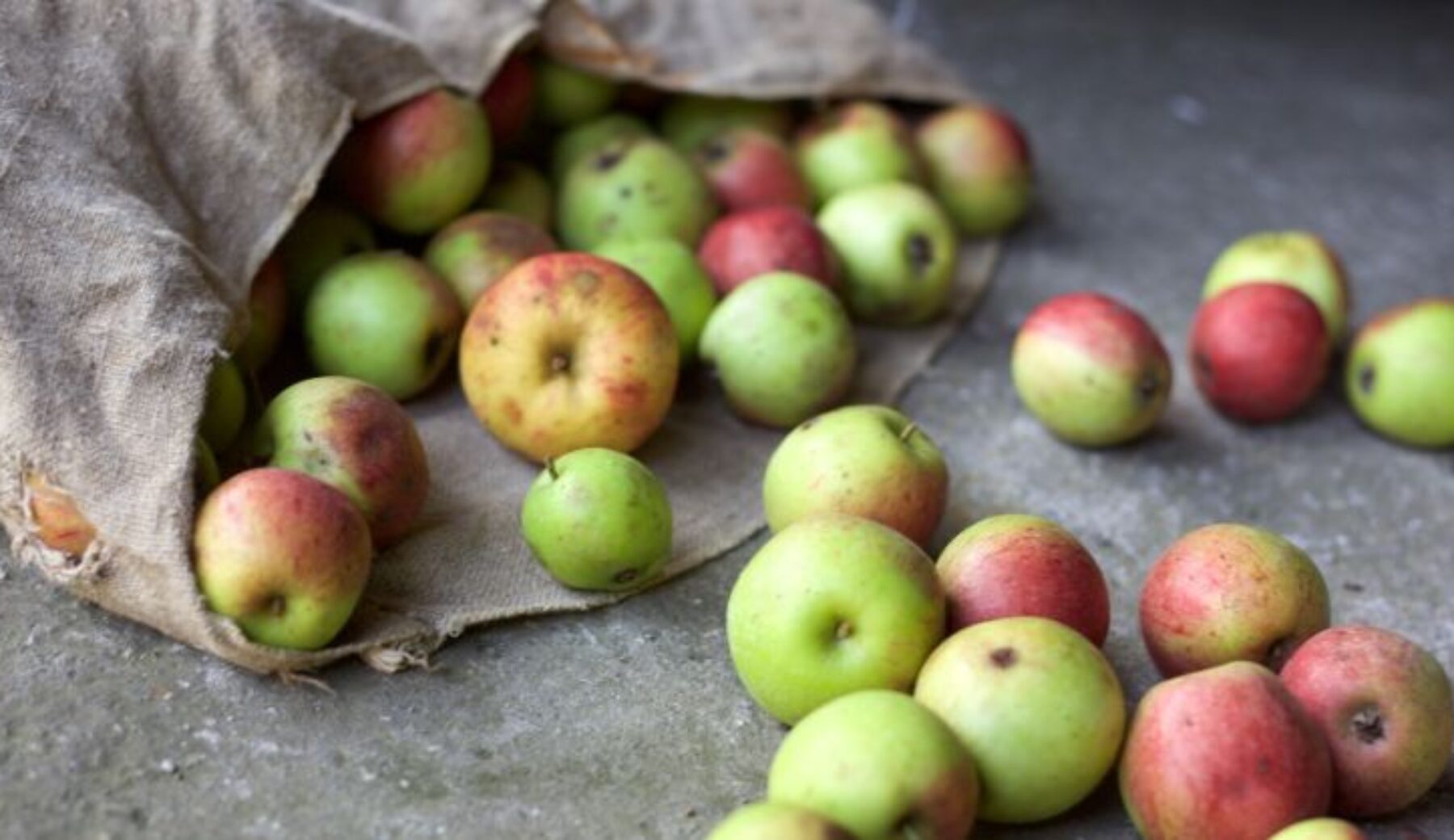 Giornata nazionale contro lo spreco alimentare, perché bisogna fare di più