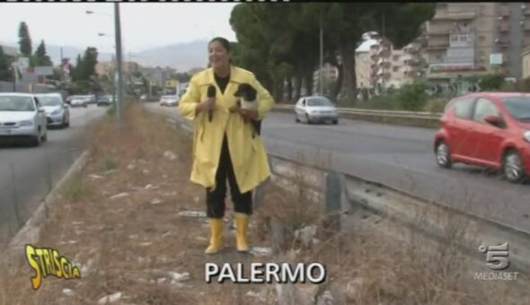 Cura del verde a Palermo