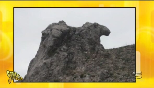 Tapiro di montagna