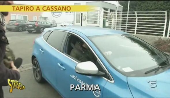 Tapiro a Cassano