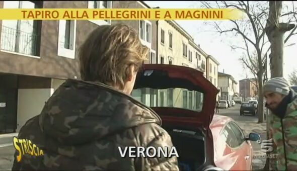 Tapiro di coppia alla Pellegrini e a Magnini