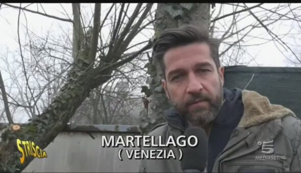 Allevamento non in regola a Martellago (Venezia)