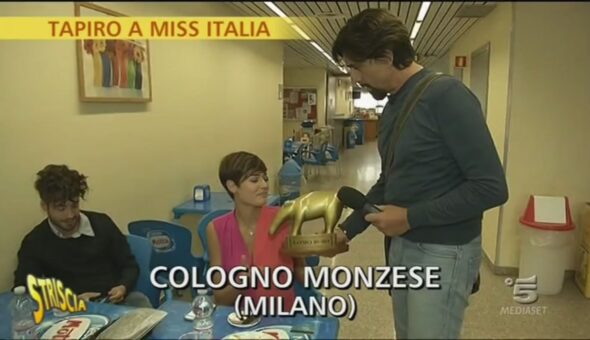 Tapiro a Miss Italia