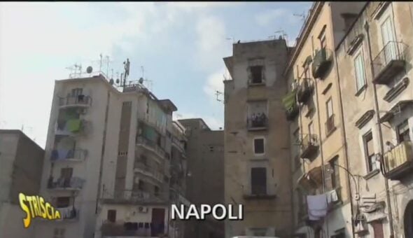 Allevamento a Napoli