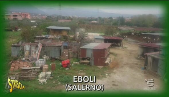 Allevamento a Eboli (Salerno)