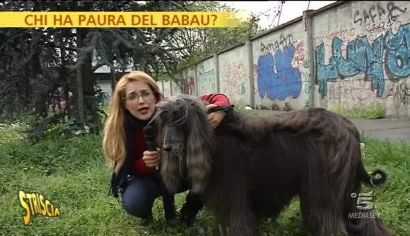 Chi ha paura del babau?