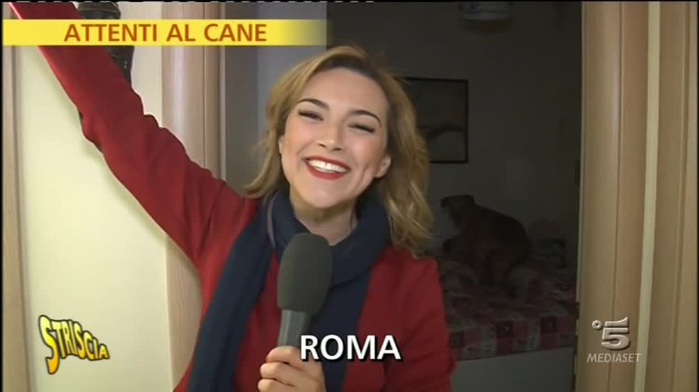 Attenti al cane Striscia la notizia