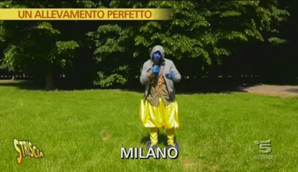 Allevamento perfetto a Milano