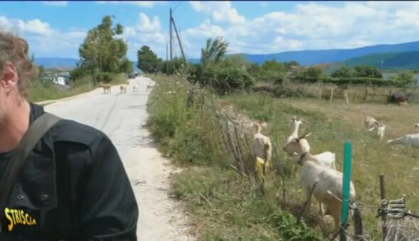 Mitilicoltura a Cagnano Varano (Foggia)