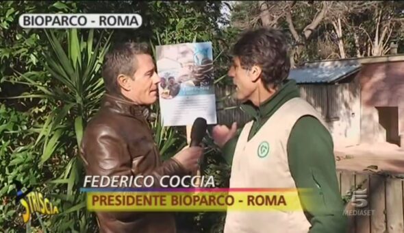 Scimmia Ghiona al Bioparco di Roma