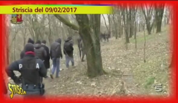 Nel bosco della droga