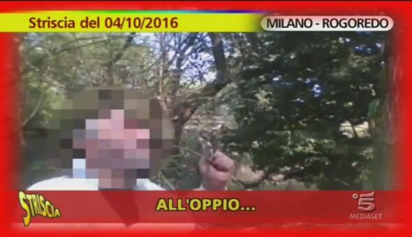 Bosco della droga a Milano