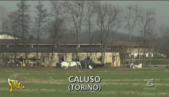 Cavalli in difficoltà a Caluso (Torino)