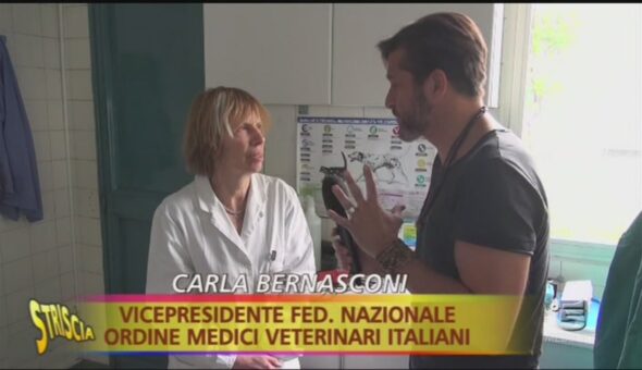 Farmaci ad uso veterinario