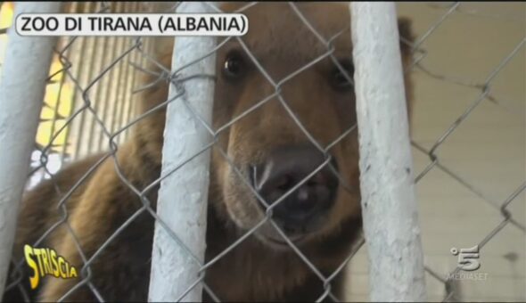 Zoo di Tirana (Albania)