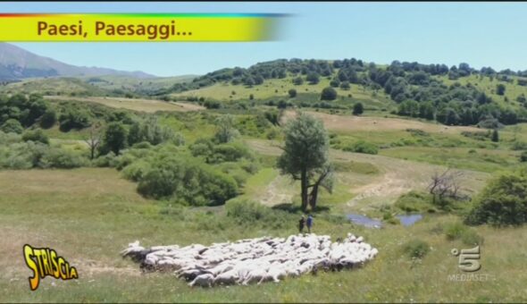 Pecorino di Amatrice