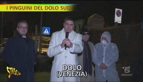 Pinguini del Dolo sud