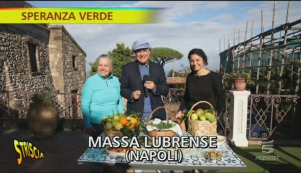 La borragine di Massa Lubrense