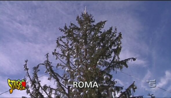 Spelacchio, l'albero di Natale del Comune di Roma