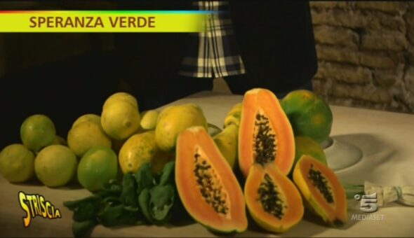 Papaya, cibo degli angeli!