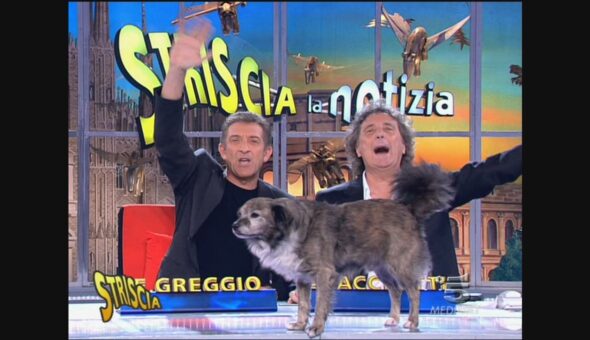 17 novembre 2008