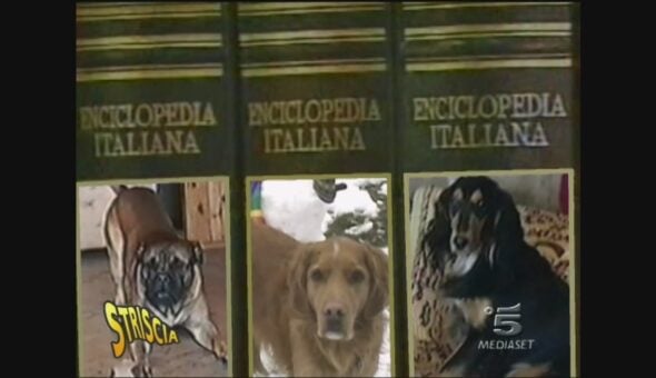 Enciclopedia 'Tre cani'