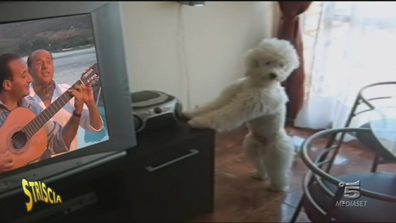 Il cane Dudù Striscia la notizia