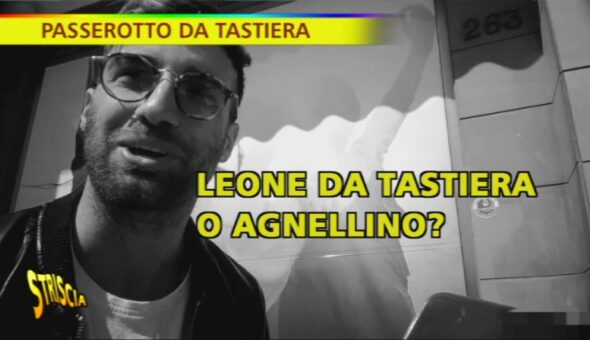 Passerotto da tastiera
