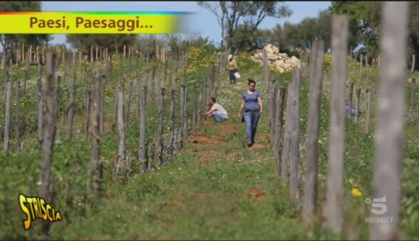 Paesi e Paesaggi a Vittoria (Ragusa)