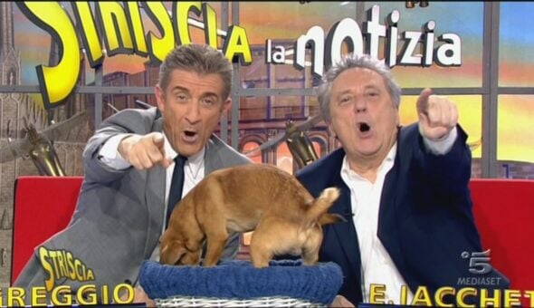 26 febbraio 2013