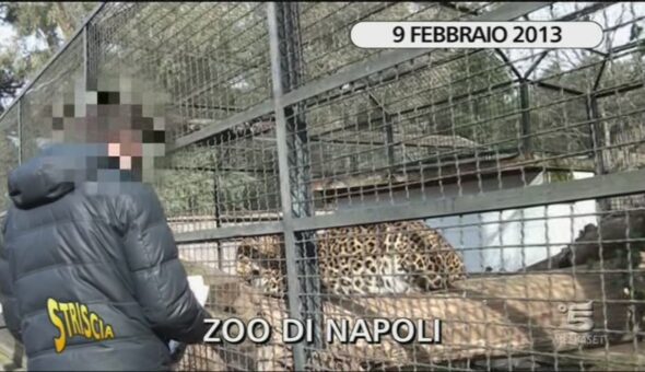 Zoo di Napoli, continua l'inchiesta di Edo Stoppa