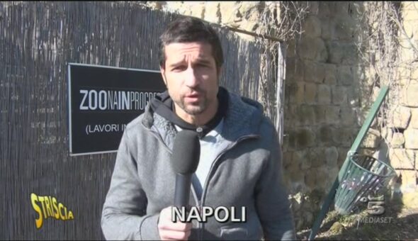 Ritorno allo zoo di Napoli