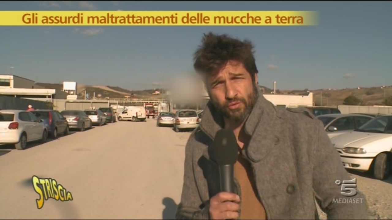 Striscia Antistatica Per Auto In Gomma E Rame, Lunghezza Regolabile 40 Cm, Per Scaricare L'elettricità Statica, Per Auto, Camion E SUV