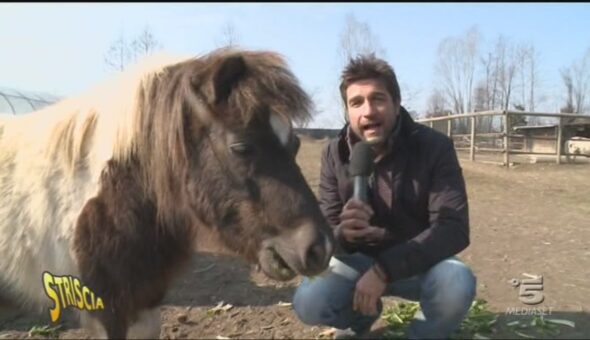 Gli animali chiamano, Stoppa risponde!