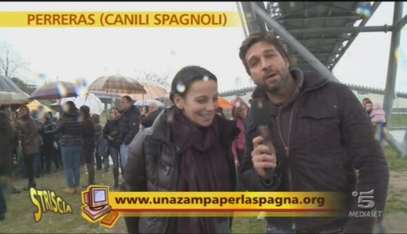 Reportage sui canili spagnoli (parte terza)