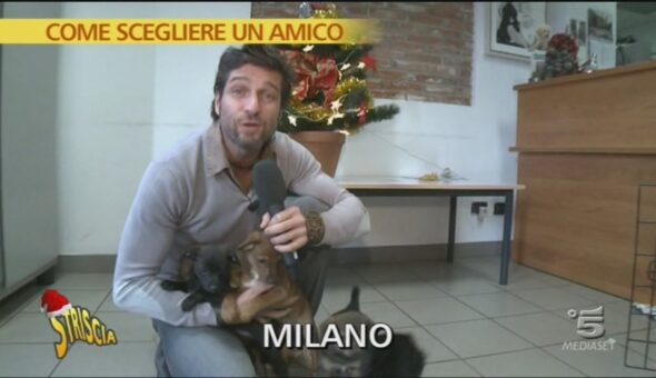 Per chi desidera un cane