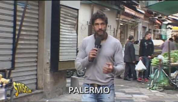 Vendita illegale di cardellini a Palermo