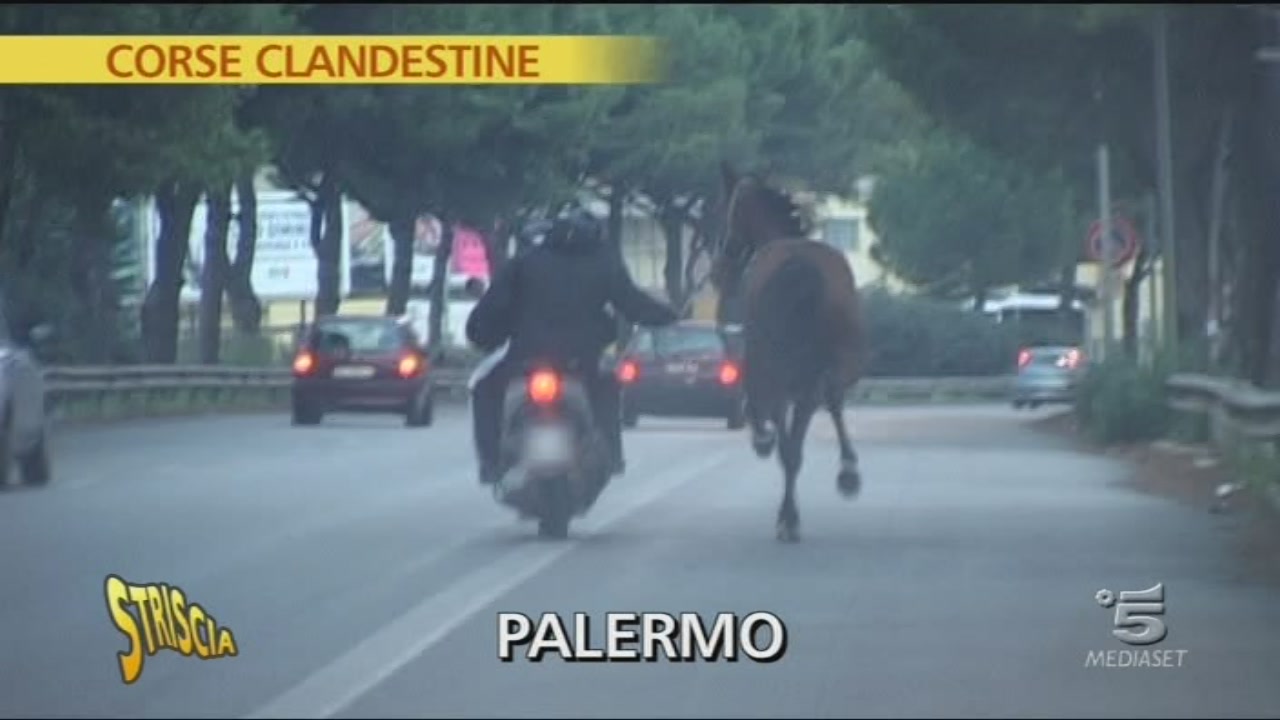corse di cavalli in streaming