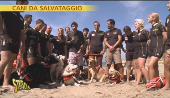 Scuola italiana cani da salvataggio