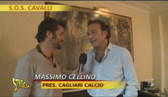 16 cavalli