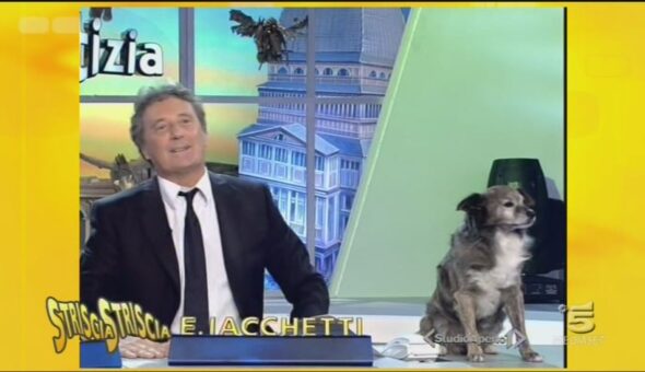 Il cagnolino Willy