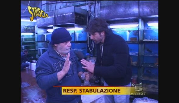 Importazione dei pesci