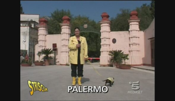 Le oche di Palermo