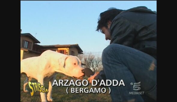 Una casa per i cani